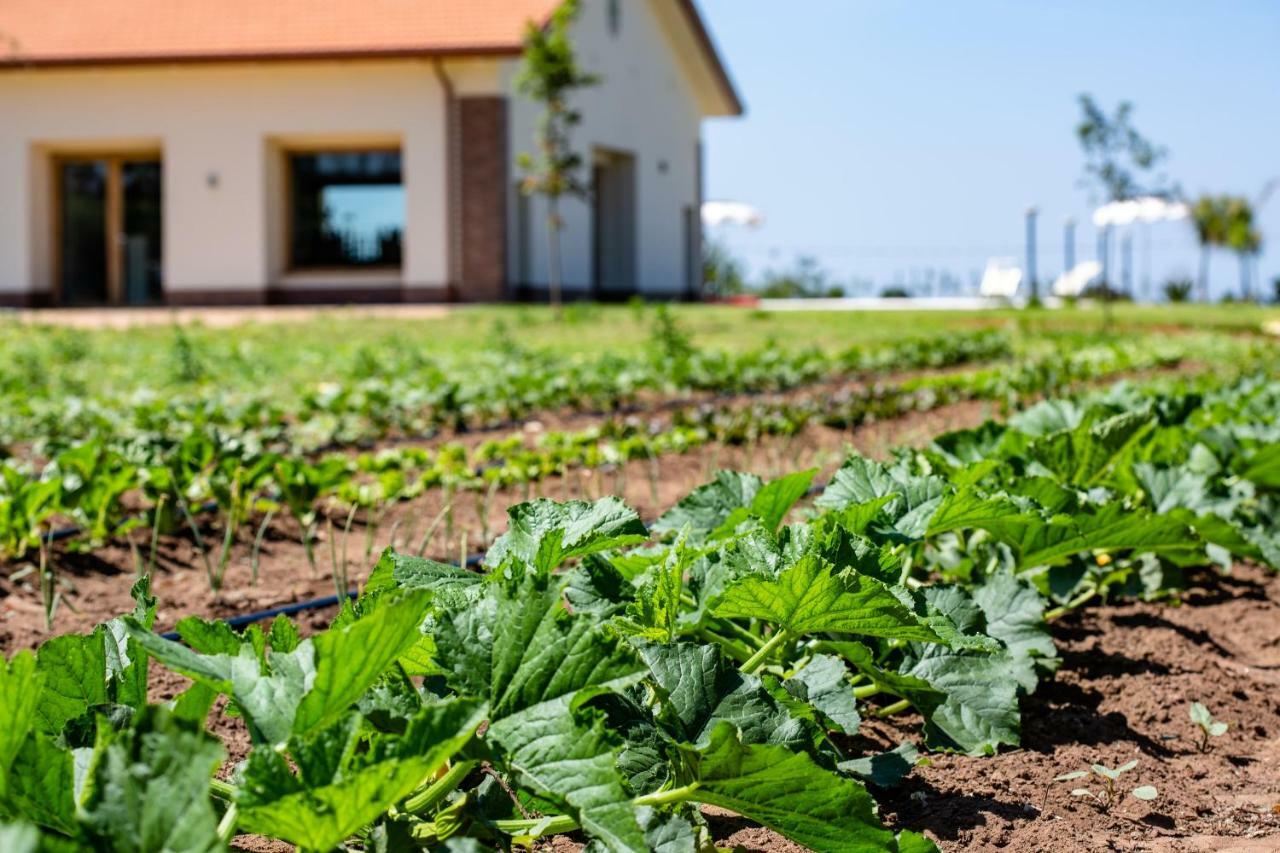 Agriturismo Acquachiara Sabaudia Ngoại thất bức ảnh